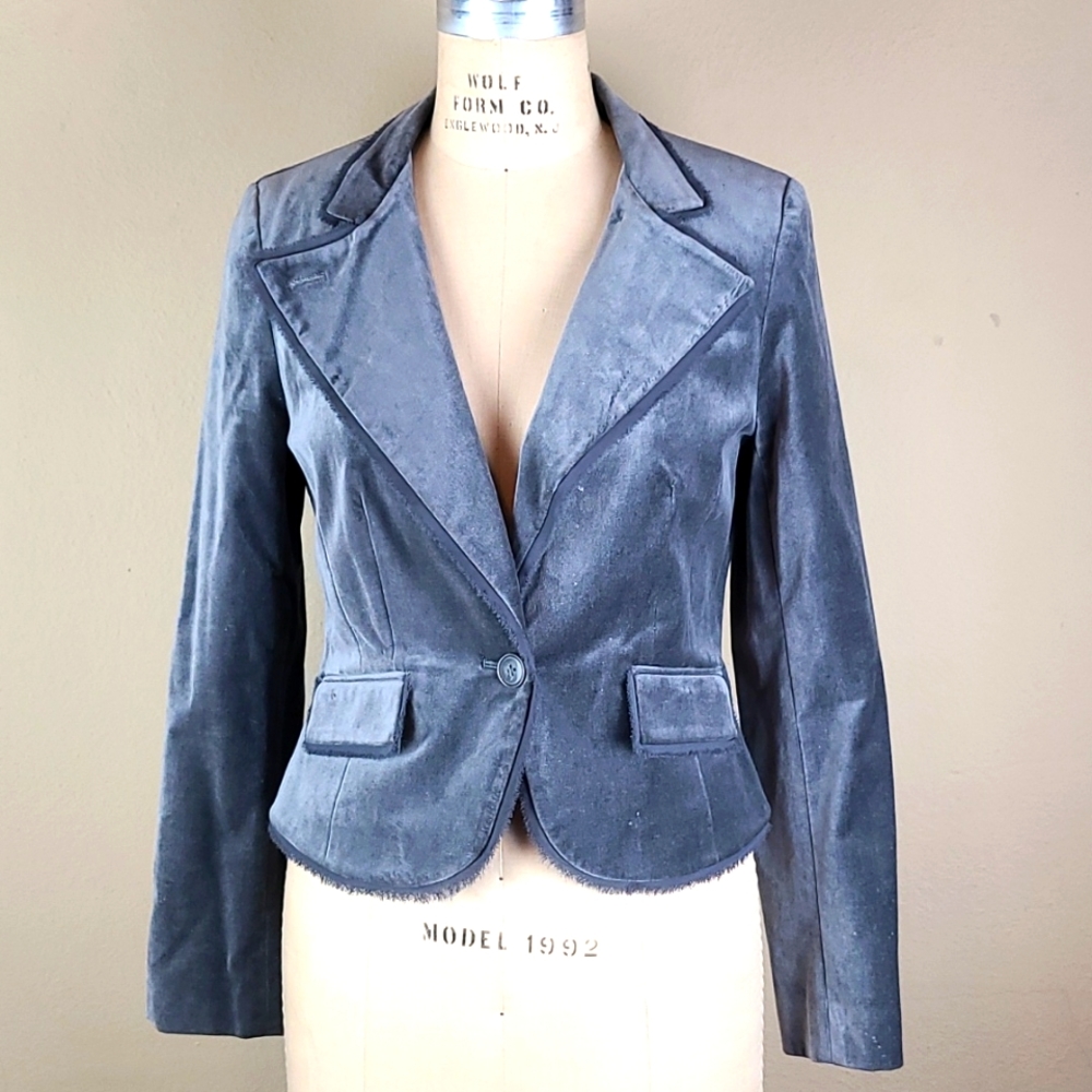 10 Gray Velvet Blazer Boutique Gem